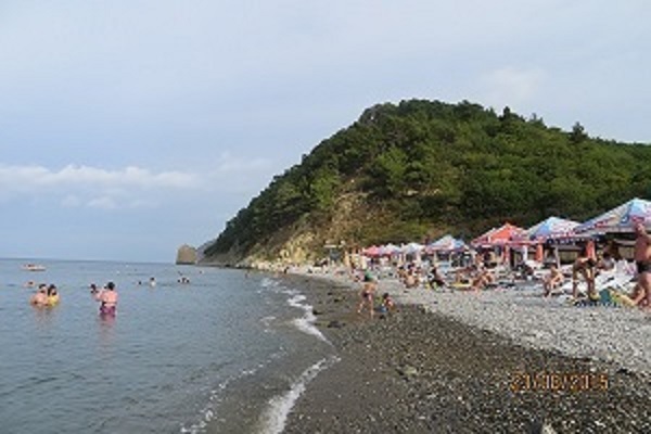zi tyrprockoweewka
